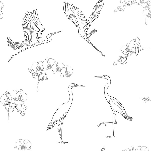 Seamless pattern, background with tropical birds. White heron, cockatoo parrot. Outline hand drawing vector illustration - Vettoriali, immagini