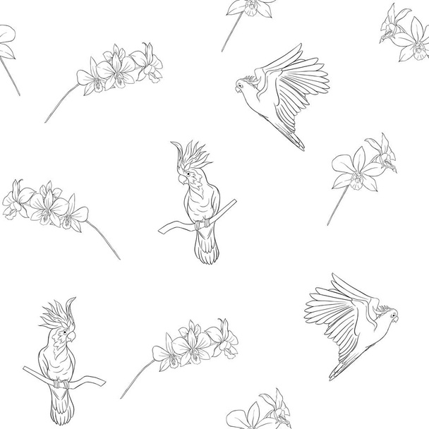 Seamless pattern, background with tropical birds. cockatoo parrot and orchid flower. Outline hand drawing vector illustration - Vektor, obrázek