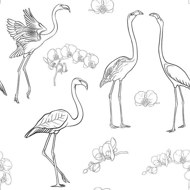 Seamless pattern, background with tropical birds. flamingo and orchid flower. Outline hand drawing vector illustration - Vetor, Imagem