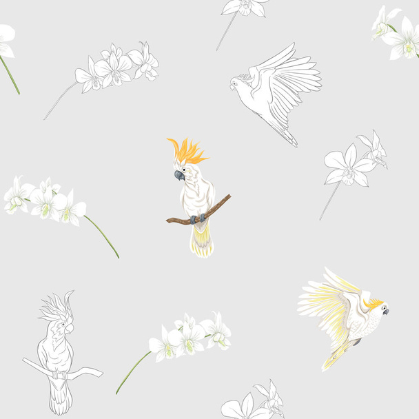 Seamless pattern, background with tropical birds. cockatoo parrot and orchid flower. Colored and outline design on soft grey background.. Vector illustration - Vetor, Imagem