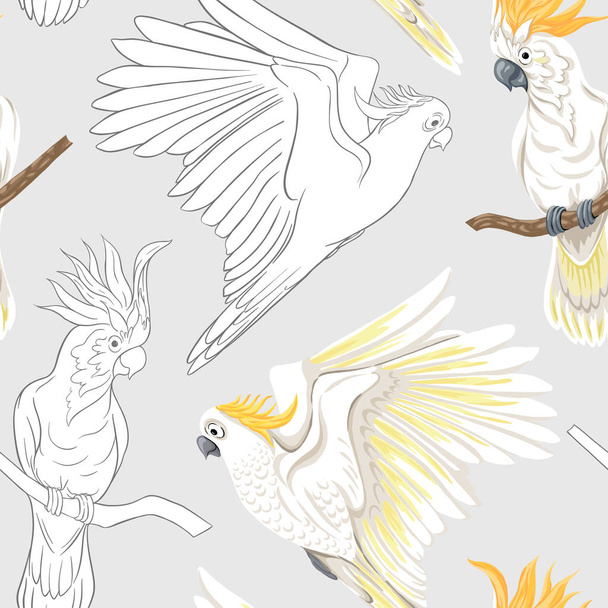 Seamless pattern, background with tropical birds. White heron, cockatoo parrot. Colored and outline design on soft grey background.. Vector illustration - Διάνυσμα, εικόνα