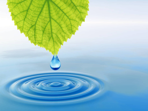 Concept ou conceptuel propre eau de source ou goutte de rosée tombant d'une feuille verte fraîche sur illustration 3D bleu eau claire faisant des vagues
 - Photo, image
