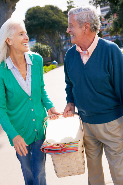 starszy para spaceru w parku z kosz piknikowy - Zdjęcie, obraz