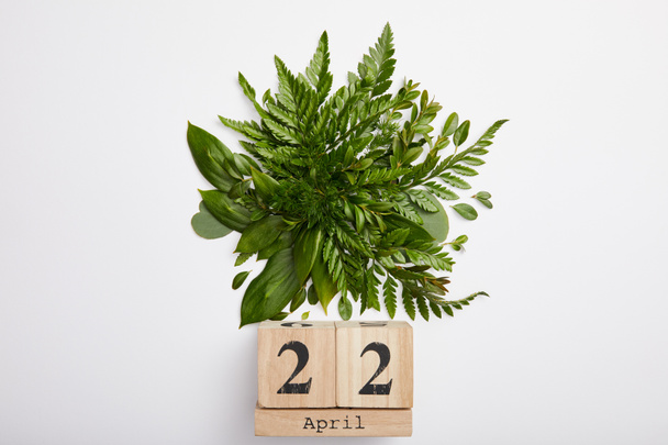composition of fresh green fern leaves and wooden blocks calendar isolated on grey background, earth day concept - Photo, Image