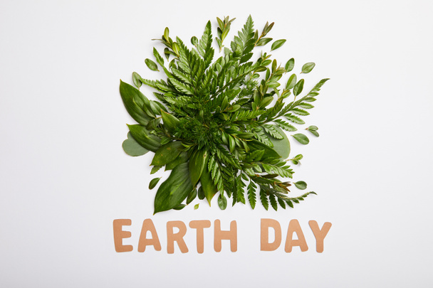 Komposition aus frischen grünen Farnblättern und Papierbuchstaben isoliert auf grauem Hintergrund, Earth Day Konzept - Foto, Bild