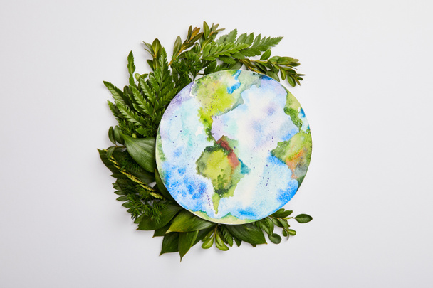 composición de hojas de helecho verde fresco e imagen del planeta aislado sobre fondo gris, concepto del día de la tierra
 - Foto, Imagen
