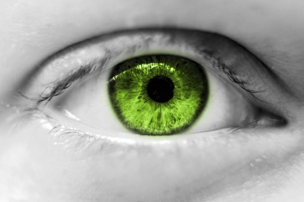 human green  eye macro - 写真・画像