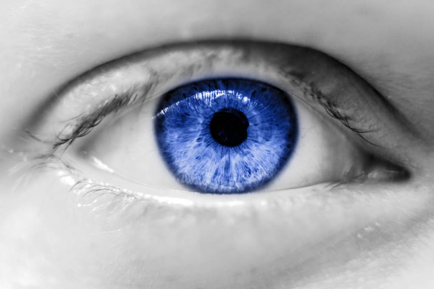 human blue eye macro - Photo, Image