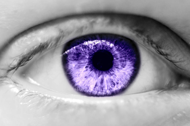human violet eye macro - Photo, Image