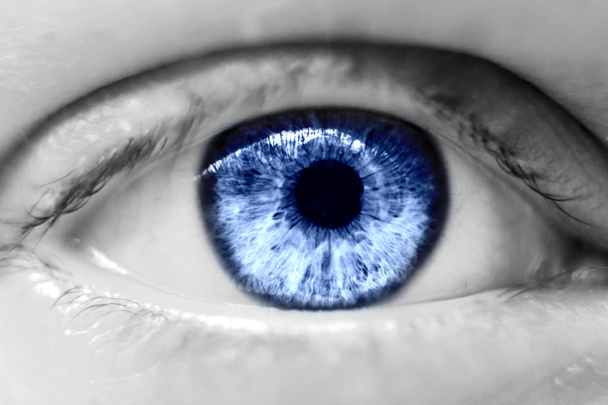 macro occhio blu umano
 - Foto, immagini