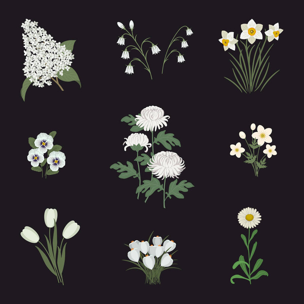 Συλλογή από λευκά λουλούδια πάνω σε μαύρο φόντο. Υπάρχουν τουλίπες, λιλά, aster, πανσέδες, daffodils, χρυσάνθεμα, κουδούνια, ανεμώνη και κρόκοι στην εικόνα. Εικονογράφηση διάνυσμα - Διάνυσμα, εικόνα