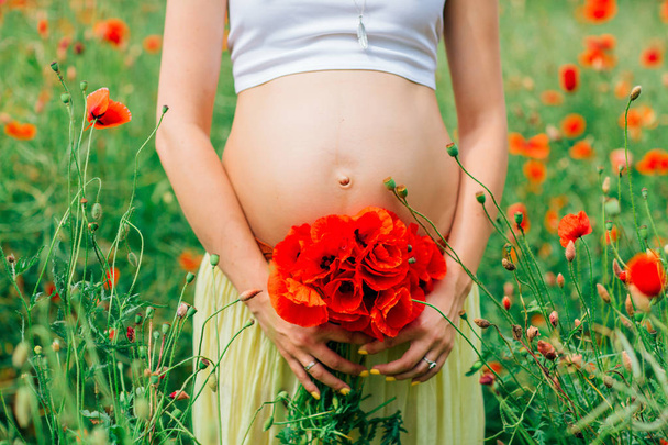 Hands and torso of a pregnant woman in the poppy field - Foto, immagini