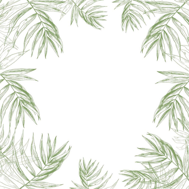 Tropical summer jungle frame background with a border made of green tropical palm leaves and a place for text. Hand drawn in ink realistic engraving like vector illustration. - Vektor, obrázek