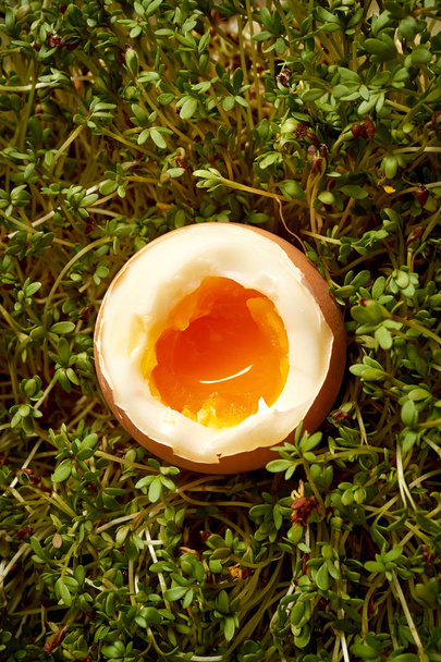 Κλείστε επάνω σε οργανικών μαλακό βραστό αυγό από κάρδαμο τα λάχανα - Φωτογραφία, εικόνα