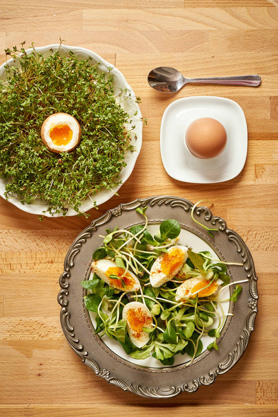Vintage plate with spring breakfast with sprouts and lambs lettuce and boiled eggs and cress on wooden table - Photo, Image