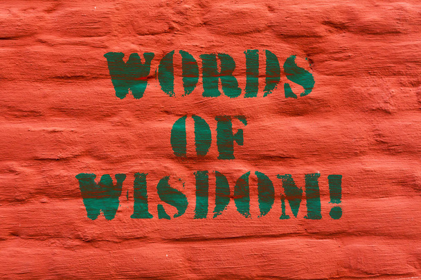 Szó bölcs szavai szöveg írása. Üzleti koncepció szakértői tanácsok tájolása valaki tudás téglafal művészet, mint a Graffiti motivációs hívás a falra írt. - Fotó, kép