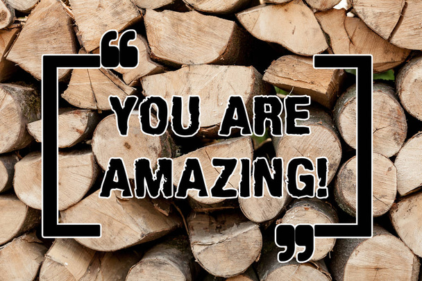 Text sign showing You Are Amazing. Conceptual photo To have a great opinion about someone Admiration Wonder Wooden background vintage wood wild message ideas intentions thoughts. - Photo, Image