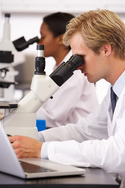 Male And Female Scientists Using Microscopes In Laboratory - Zdjęcie, obraz
