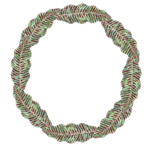 Round shaped wreath made of green grass leaves. Hand drawn watercolor illustration. - Photo, Image