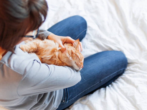 Cute ginger cat lies on woman's hands. Fluffy pet comfortably settled to sleep or to play. Cozy morning bedtime at home. - Foto, imagen