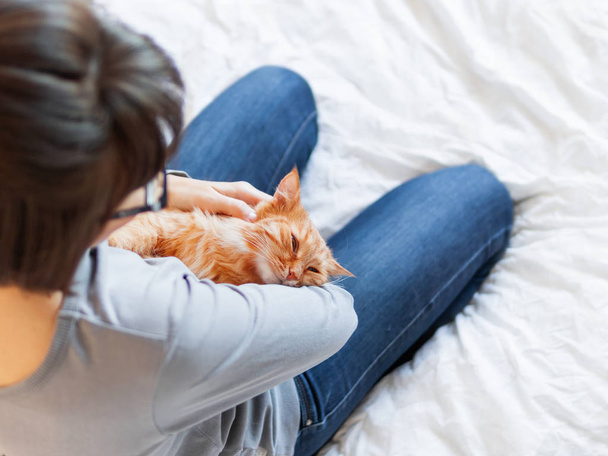 Cute ginger cat lies on woman's hands. Fluffy pet comfortably settled to sleep or to play. Cozy morning bedtime at home. - Foto, Bild