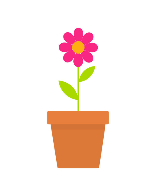 Pink spring daisy flower in a pot. Vector illustration - Wektor, obraz