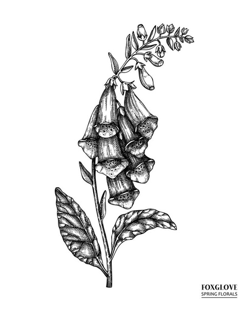 Seamless vector flower. Spring vintage background with hand drawn flower - Vektor, kép