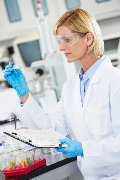 Female Scientist Working In Laboratory - 写真・画像