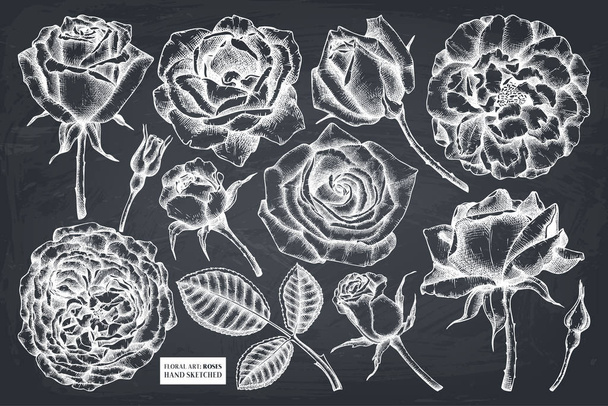 Black hand drawn roses - Vector, Image