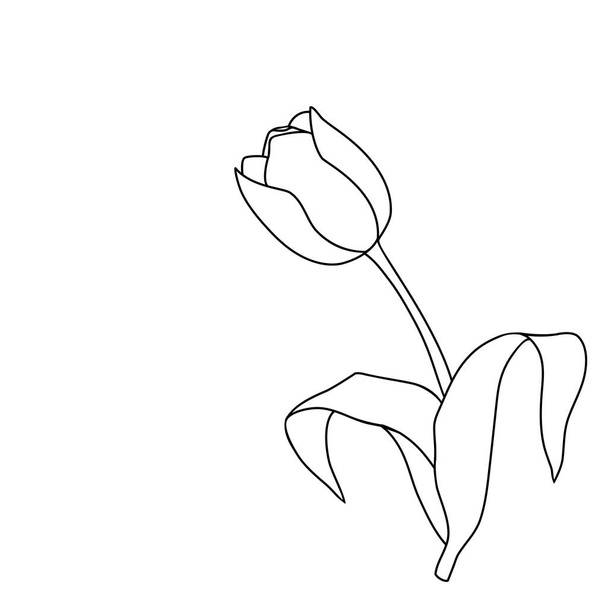 Seamless vector tulip pattern - Vecteur, image