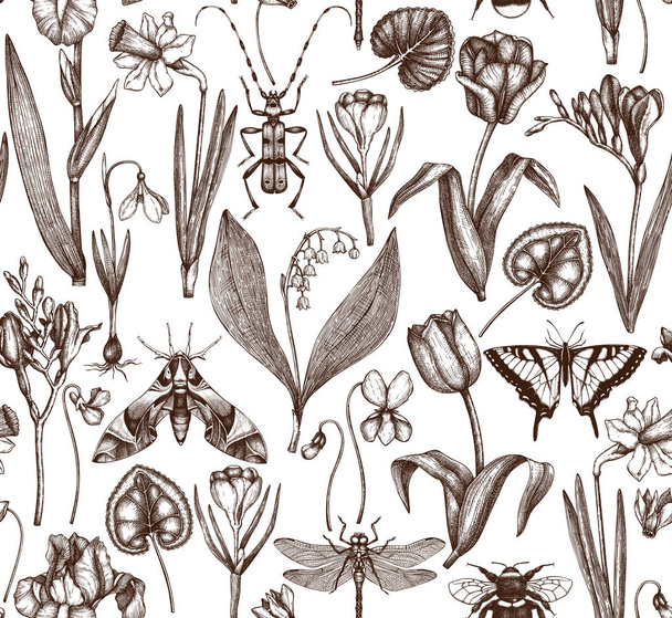 hand drawn spring flowers - Vettoriali, immagini