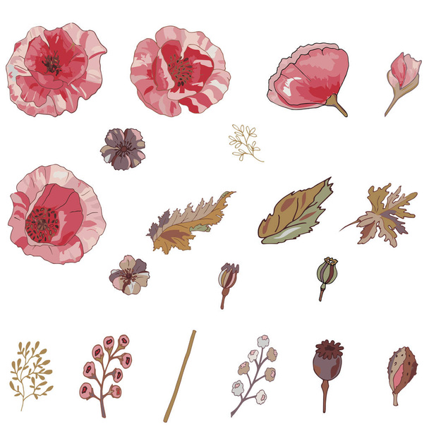 Set of isolarted floral elements for your own design. DIY poppy flower set - Wektor, obraz
