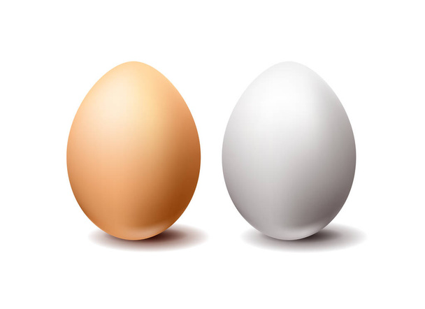 Huevos de pollo de vector realistas blancos y marrones aislados sobre fondo blanco
 - Vector, Imagen