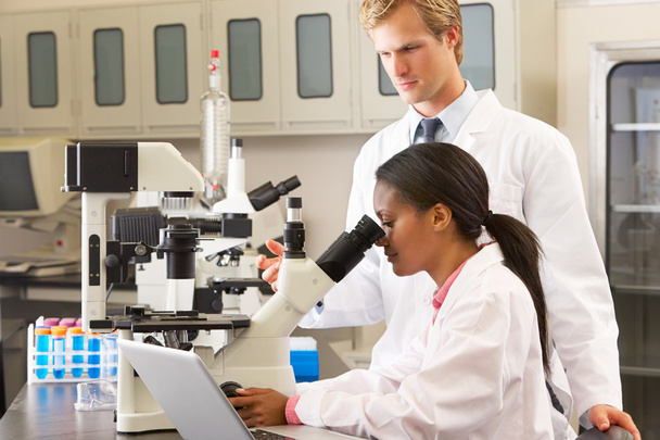 Male And Female Scientists Using Microscopes In Laboratory - Foto, afbeelding