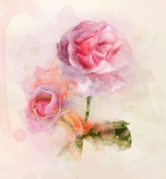 Tavaszi és nyári virágok gyűjtemény rózsaszín rózsa digitális akvarell illusztráció - Fotó, kép