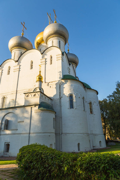 Uitzicht op de kathedraal van onze Lieve Vrouwe van Smolensk in het Novodevitsji-klooster, Moskou, Rusland. - Foto, afbeelding