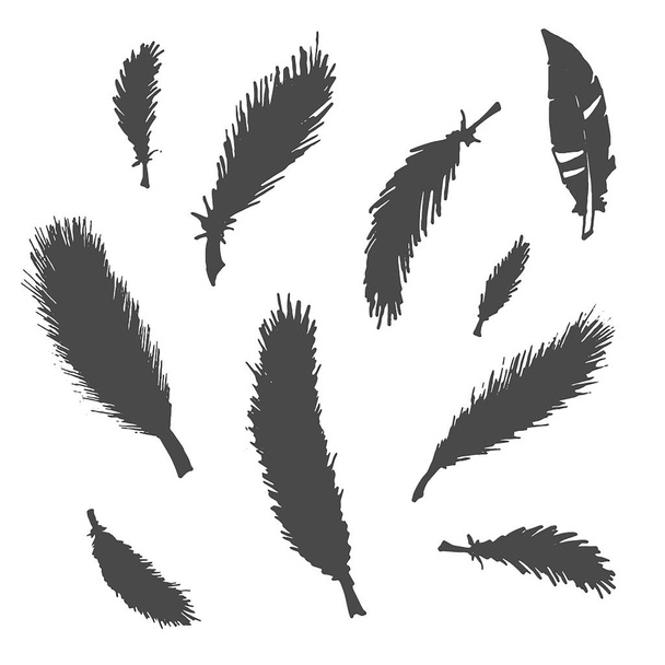 Διάνυσμα συρμένο χέρι σκίτσο της εικονογράφησης αφηρημένη φτερό σε λευκό φόντο - Διάνυσμα, εικόνα