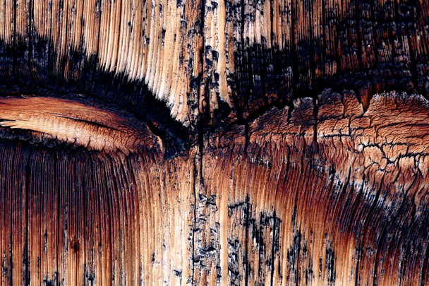 Natuurlijke houten ondergrond - Foto, afbeelding