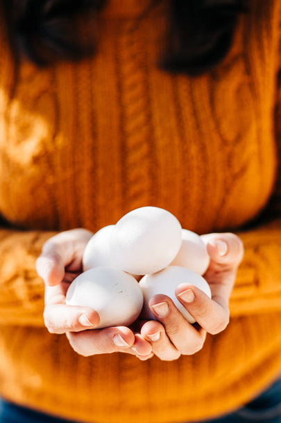 woman holding a organic white eggs - Foto, afbeelding