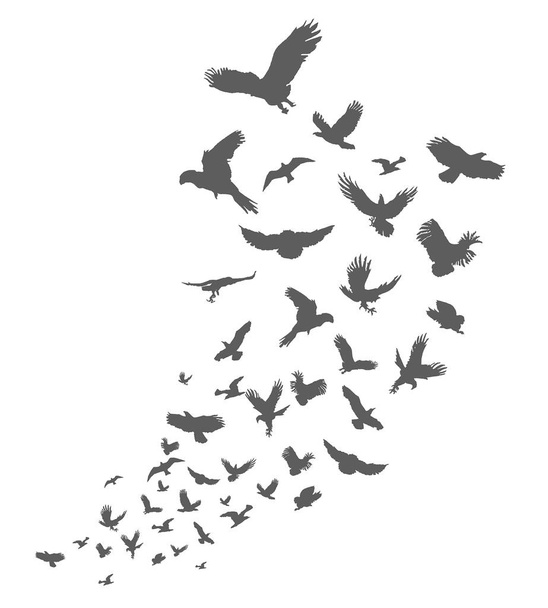 Silueta de aves voladoras sobre fondo blanco. Inspiración cuerpo flash tatuaje tinta. Set con puntada texturizada gris pájaros vuelan golondrinas hechas a mano. Vector
. - Vector, imagen