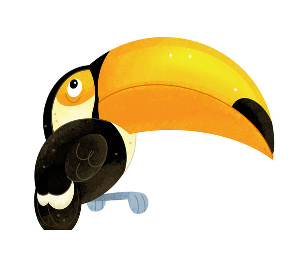 cartoon scene with toucan on white background - illustration for children - Photo, Image