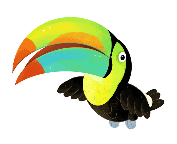 cartoon scene with toucan on white background - illustration for children - Фото, изображение