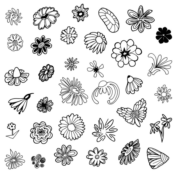 Vector Dibujo dibujado a mano de símbolos florales ilustración sobre fondo blanco
 - Vector, imagen