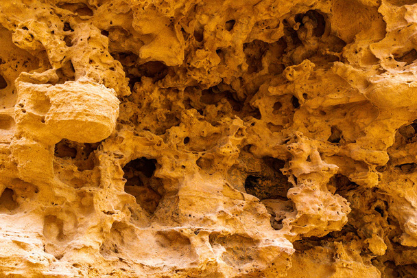 Textured wall of a sandstone canyon - Photo, Image
