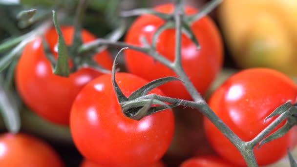 Citroen tomaten en kruiden - Video