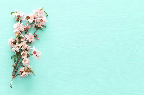 photo of spring white cherry blossom tree on pastel mint wooden background. View from above, flat lay - Fotó, kép