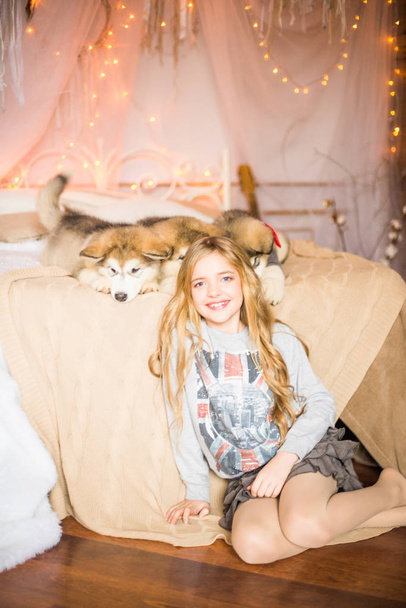 Cute girl with long blond hair at home on the bed with Malamute puppies - 写真・画像