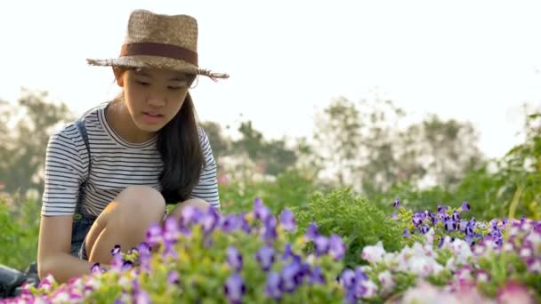 4k docela asijské dívka výsadbu květin na zahradě, Zpomalený záběr - Záběry, video