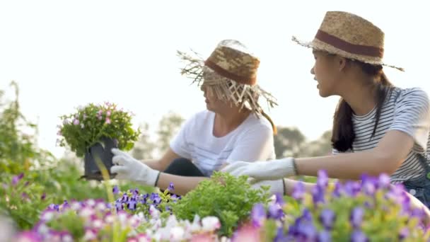 Αργή κίνηση χαρούμενος Ασίας μητέρα και κόρη φύτευση λουλουδιών μαζί στον κήπο - Πλάνα, βίντεο