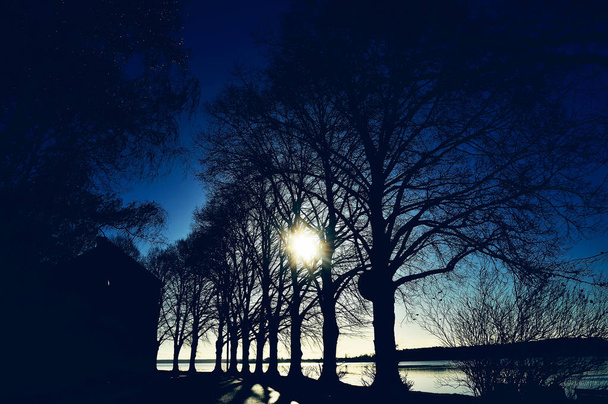 Wieczorny krajobraz z ciemną sylwetką drzew i wody. - Zdjęcie, obraz